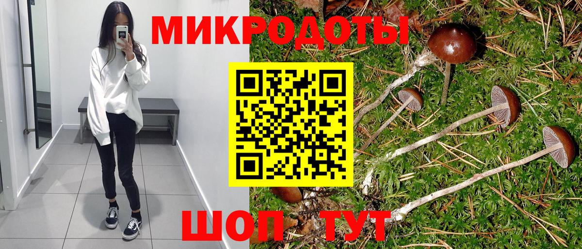 Йошкар-Ола  Псилоцибиновые грибы мухоморы  Вход с VPN 