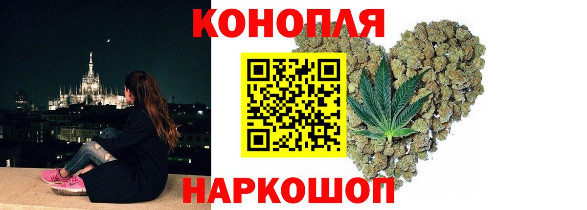 Канабис планчик Йошкар-Ола